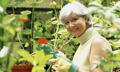 园艺和手工有助于降低心脏病发作风险