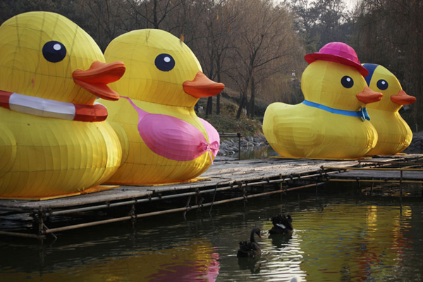 Giant ducks welcome Spring Festival