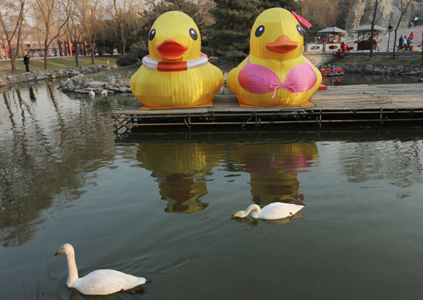 Giant ducks welcome Spring Festival