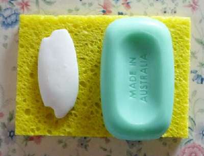 肥皂嫁接 Soap grafting