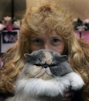 Krystalle, a 5-year-old Bilute Calico Persian, from Atlanta, poses with owner Jean Dugger during a preview of the 2006 CFA-Iams Cat Championship at New York's Madison Square Garden, Wednesday Oct. 11, 2006. More than 300 felines will compete at the show this weekend to celebrate the 100th anniversary of the Cat Fanciers' Association.