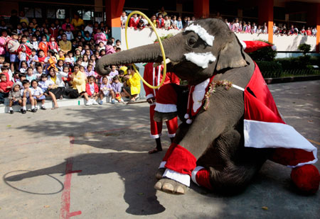 An elephant dressed in a Santa Claus costume performs after helping to distribute toys to students during Christmas celebrations at Jirasart school in Auytthaya province, 70 km (44 miles) north of Bangkok December 22, 2006.