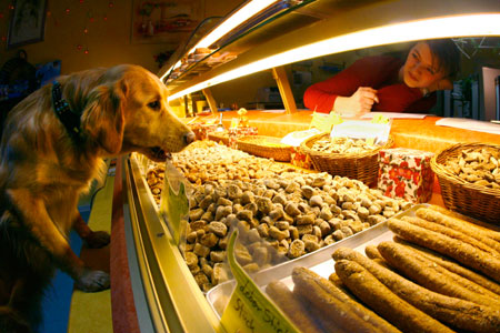 Labrador Ronja stands next to the display in its owner's dogs-only bakery in the western German city of Wiesbaden January 8, 2007. 