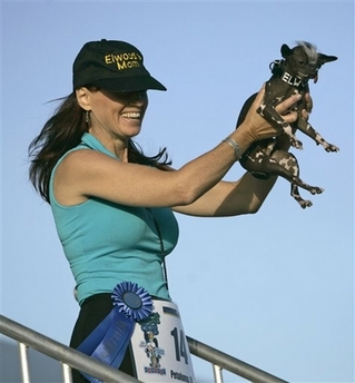 Karen Quigley, of Sewell, N.J., holds her Chinese Crested dog 'Elwood', who won the 2007 World's Ugliest Dog Contest Friday, June 22, 2007, in Petaluma, Calif. Elwood weighs in at just 6 pounds and was rescued as the result of a New Jersey SPCA investigation.