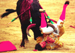 Pamplola Bull-running Fiesta（西班牙奔牛节）