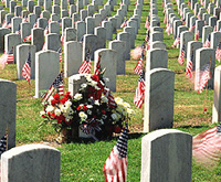 Memorial Day（美国阵亡将士纪念日）