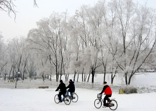 Cyclists ride past trees covered with glassy hoar frost, known as Wusong rime, beside the Songhua River in Jilin city, northeast China's Jilin Province, November 28, 2006.