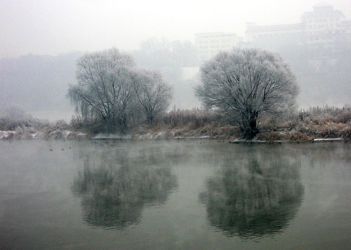 Cyclists ride past trees covered with glassy hoar frost, known as Wusong rime, beside the Songhua River in Jilin city, northeast China's Jilin Province, November 28, 2006.