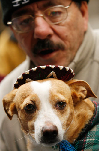 A pet owner holds his dog after getting blessed at Madrid's San Anton church January 17, 2007. 