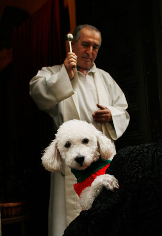 Father Juan Villar blesses a dog at Madrid's San Anton church January 17, 2007. 