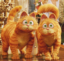 Garfield 2《加菲猫》2（精讲之六）