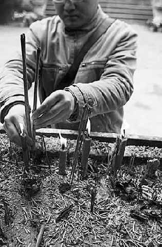 大学生考研后烧香拜佛求好成绩 