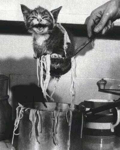 历史上最负盛名的二十六张照片（一）通讯员推荐