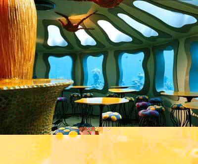 世界上最美的海底餐厅