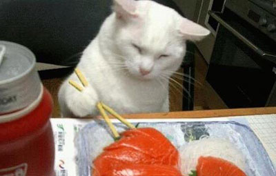 We cats can use chopsticks, too!
