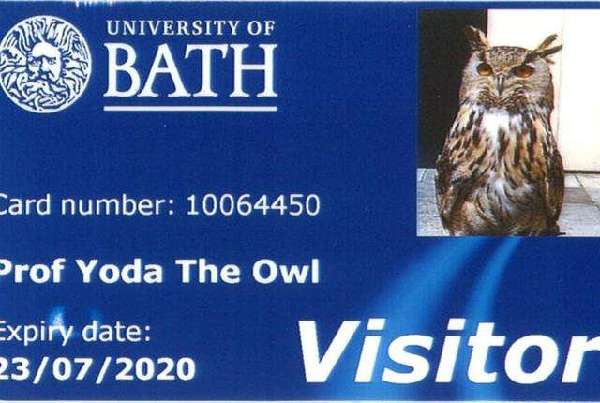 英巴斯大学给雕鸮发图书证