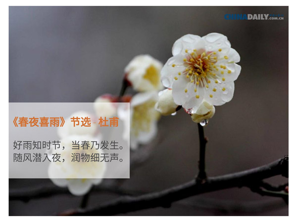 关于春天的五首中国古诗（组图）