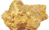Thousands went to western Canada to find gold