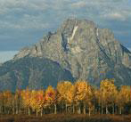 Mountain and cowboy culture meet in Jackson hole