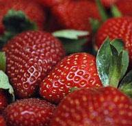 Grow it yourself: Strawberries