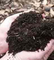 DIY: Compost for the garden