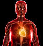 Biomarkers show little help in predicting heart disease