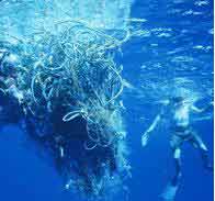 Great Pacific Ocean Garbage Patch: where world's trash collects