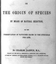 'On the Origin of Species' celebrated and debated 150 years later
