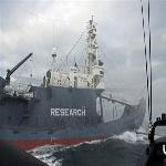 Australian, New Zealand scientists conduct research to challenge Japan's whaling program