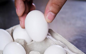 Massive egg recall raises food safety questions