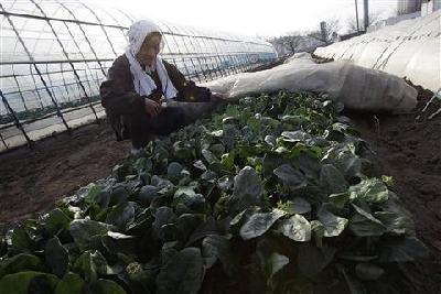 For Japan farmers, radiation fears mean economic pain