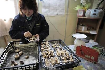 Fukushima farmers worry about region's brand