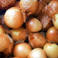 Grow it yourself: onions are nothing to cry about