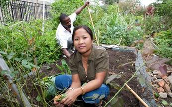 Refugees bring flavor of home to community farms