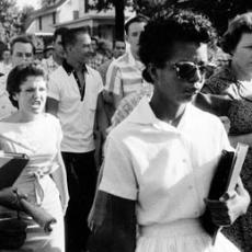<BR>American history: the Civil Rights Movement