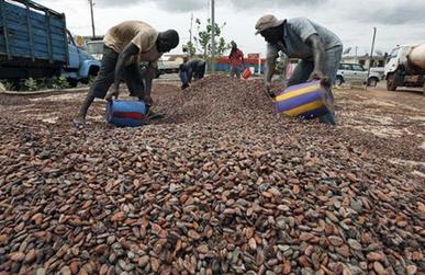 Will cost of cocoa raise the price of Valentine's Day?