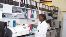 HIV superinfections appear common