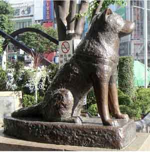 Hachi:A Dog's Tale《忠犬八公的故事》精讲之三