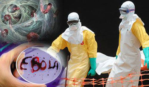 Progress made in fight against Ebola