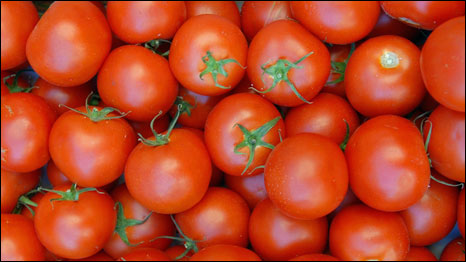 Super Tomatoes 超级西红柿