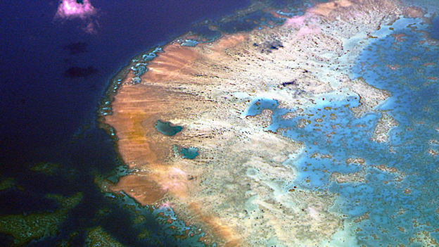 Great Barrier Reef 'severely damaged' 大堡礁“严重受损”