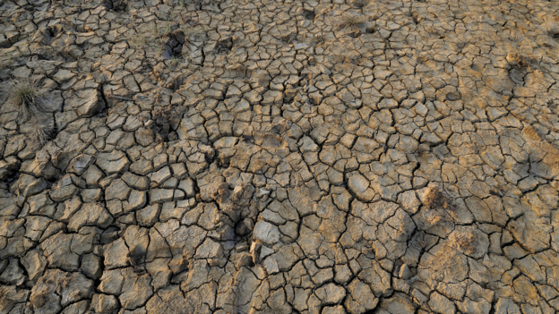 India drought: '330 million people affected' 印度严重干旱：3.3亿国民受影响