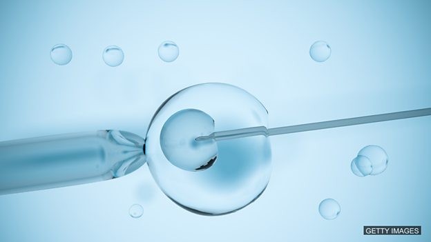 UK scientists edit DNA of human embryos 英国研究团队编辑人类胚胎中的 DNA