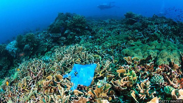 Plastic threatens coral reefs 海洋塑料垃圾威胁珊瑚礁的生存