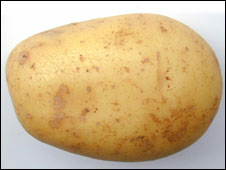 Potato-only Diet 只吃土豆的减肥法