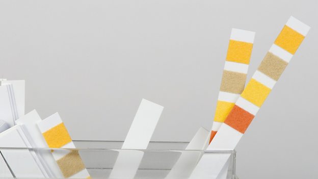 Litmus test 决定性的检验,试金石