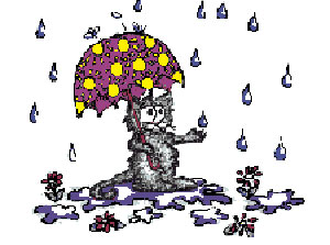 Cat In The Rain 原创