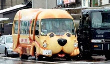 Cute puppy bus