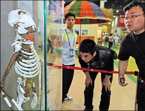 人类祖先“露西”亮相上海世博会