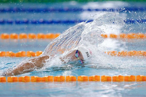 奥运赛事分类词汇-游泳